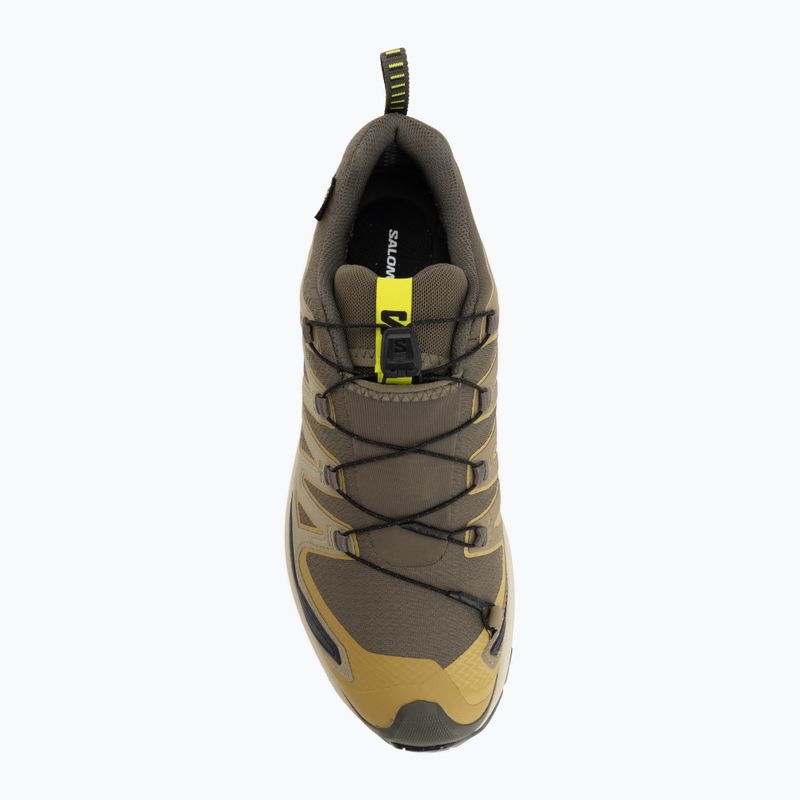 Férfi futócipők Salomon XA Pro 3D V9 GTX grape leaf/aloe 5