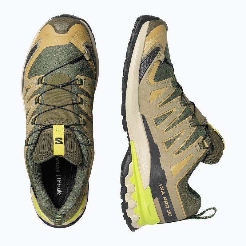 Férfi futócipők Salomon XA Pro 3D V9 GTX grape leaf/aloe 3