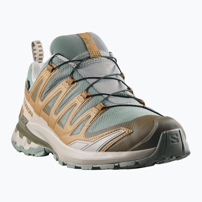 Férfi futócipők Salomon XA Pro 3D V9 GTX sedona sage/brilliant olive 2