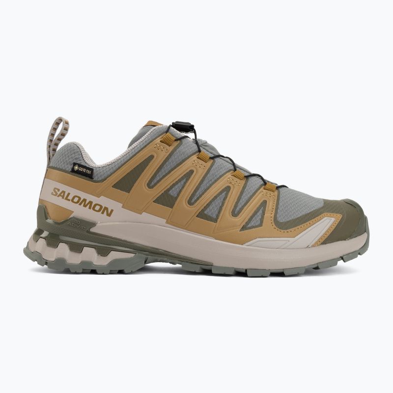 Férfi futócipők Salomon XA Pro 3D V9 GTX sedona sage/brilliant olive 2