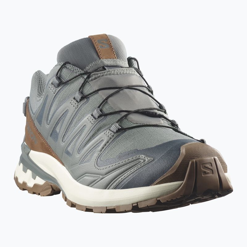 Férfi futócipők Salomon XA Pro 3D V9 GTX Lifelong sedona sage/coyote brown 2