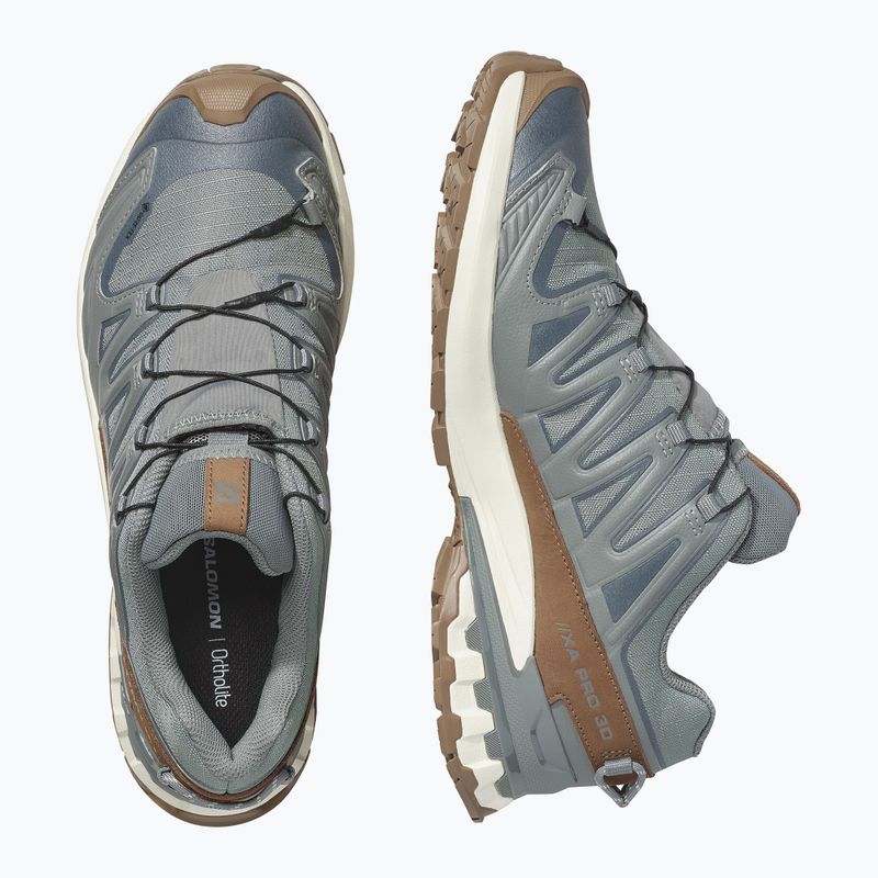 Férfi futócipők Salomon XA Pro 3D V9 GTX Lifelong sedona sage/coyote brown 3