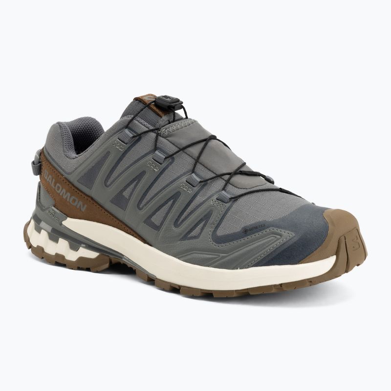 Férfi futócipők Salomon XA Pro 3D V9 GTX Lifelong sedona sage/coyote brown