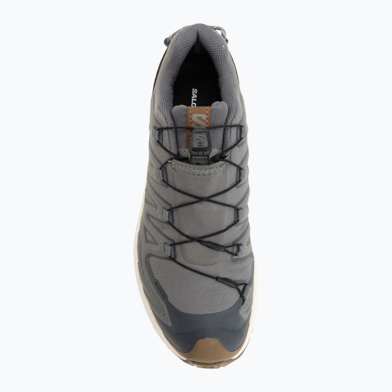 Férfi futócipők Salomon XA Pro 3D V9 GTX Lifelong sedona sage/coyote brown 5