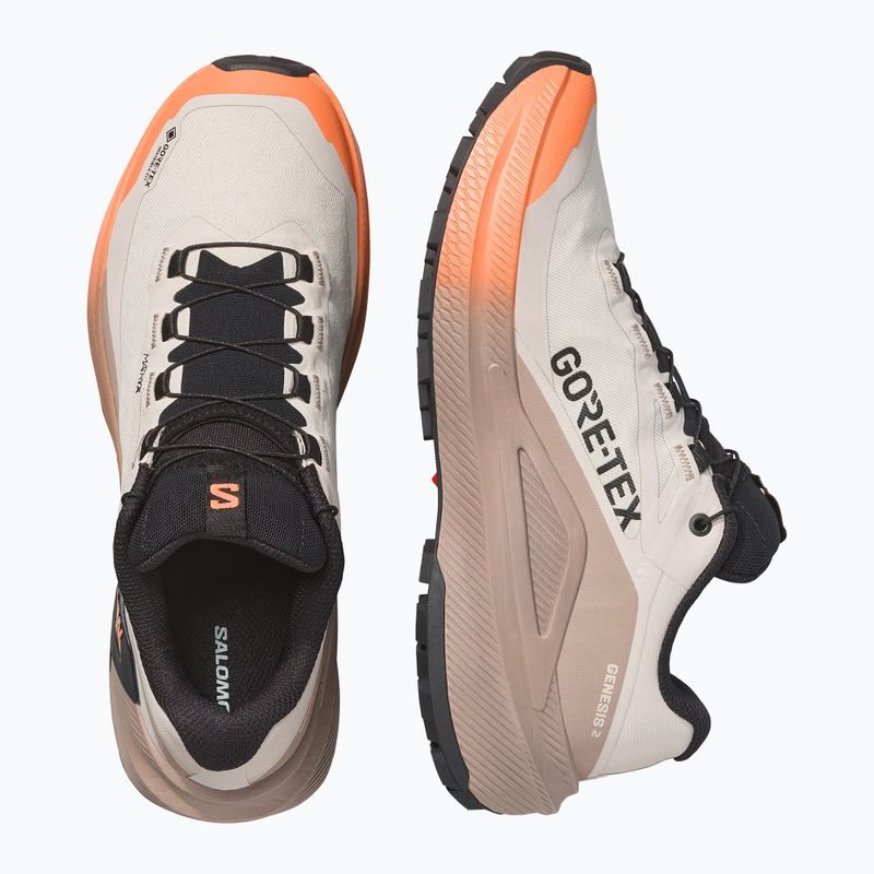 Női futócipők Salomon Genesis 2 GTX rainy day/desert tan 3