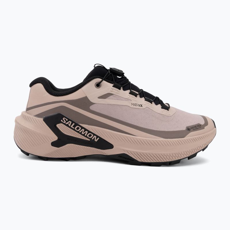Női futócipők Salomon Genesis 2 GTX shadow gray/iron 2