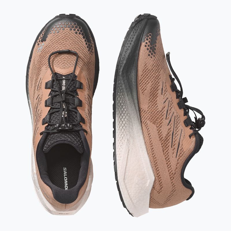 Férfi futócipők Salomon Aero Blaze 4 GRVL burro/vanilla ice 3