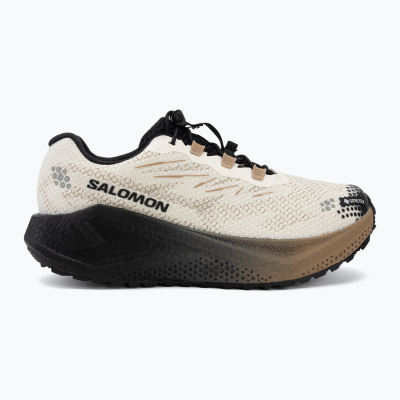 Női futócipők Salomon Aero Blaze 4 GRVL GTX vanilla ice/black 2