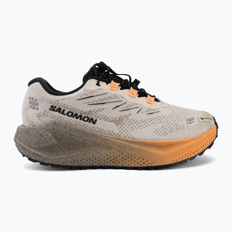 Női futócipők Salomon Aero Blaze 4 GRVL GTX rainy day/black 2