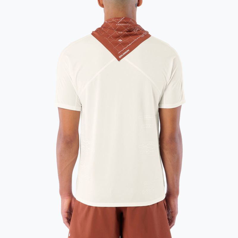 Férfi futó póló Salomon Sense Aero GFX Tee SS whisper white/raind day/bright white 2