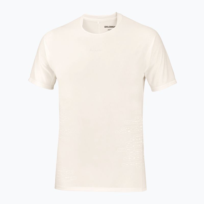 Férfi futó póló Salomon Sense Aero GFX Tee SS whisper white/raind day/bright white 5