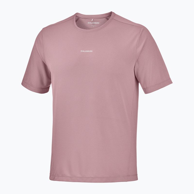 Férfi futó póló Salomon Shakeout Core SS Tee antler 4