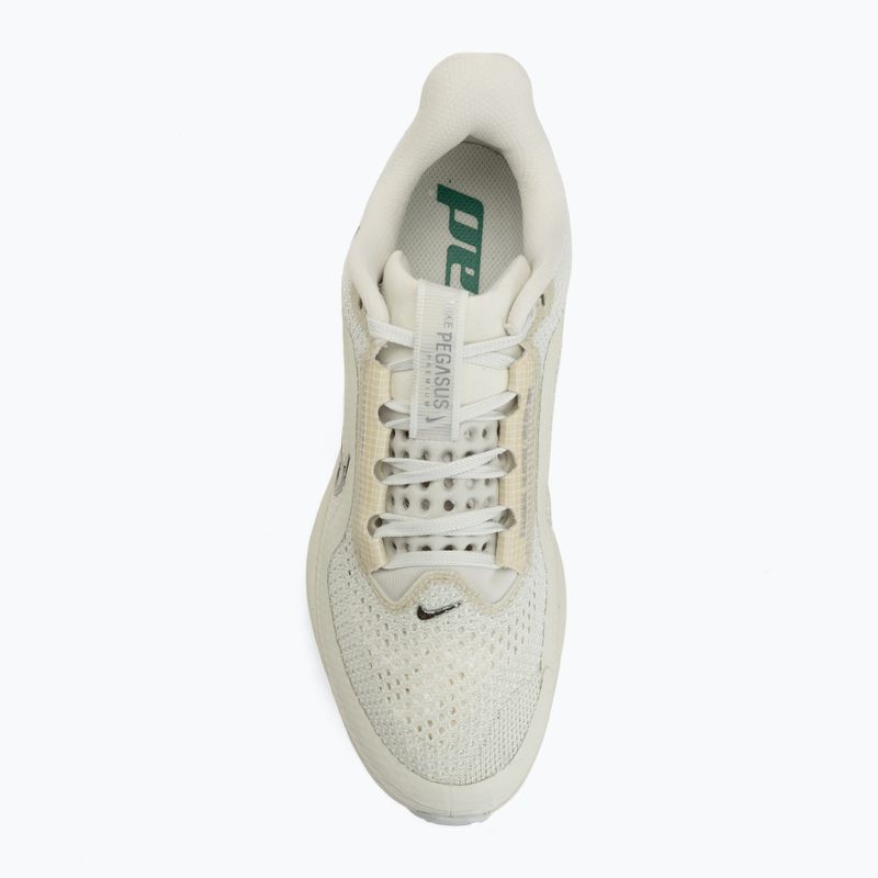Női futócipő Nike Pegasus Premium sea glass/malachite/metallic silver 5