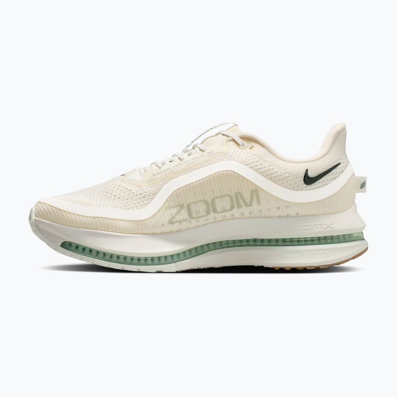 Férfi futócipő Nike Pegasus Premium Pale ivory/jade horizon/black spruce 2