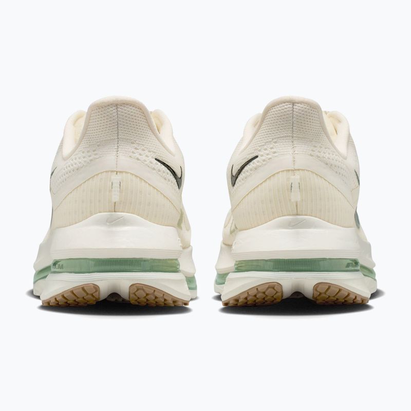Férfi futócipő Nike Pegasus Premium Pale ivory/jade horizon/black spruce 4