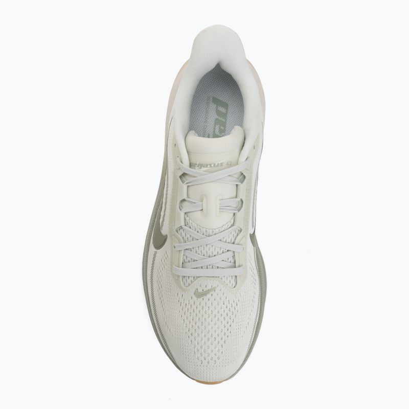 Férfi futócipő Nike Pegasus 42 spruce aura/pale ivory/jade horizon 5
