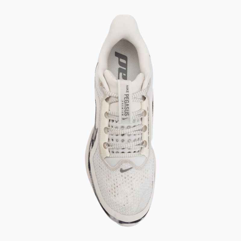 Női futócipők Nike Pegasus Premium SE phantom/anthracite/pencil point 5