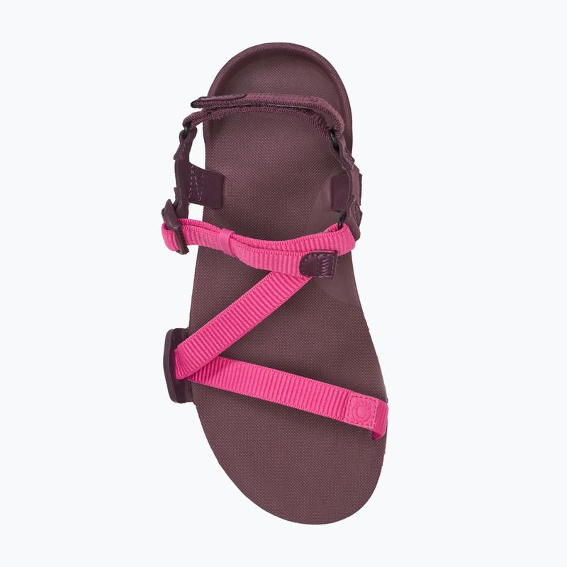 Női barefoot szandál Xero Shoes Z-Trail EV fuchsia purple 5