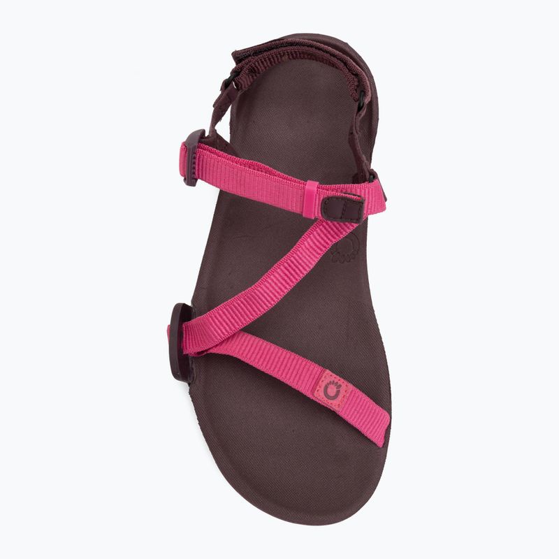 Női barefoot szandál Xero Shoes Z-Trail EV fuchsia purple 5