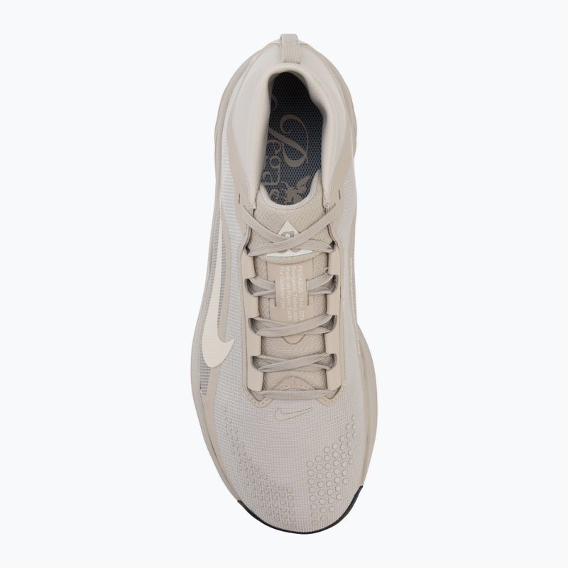 Férfi futócipők Nike ACG Pegasus Trail GORE-TEX Cream Ii/Light Orewood Brown 5