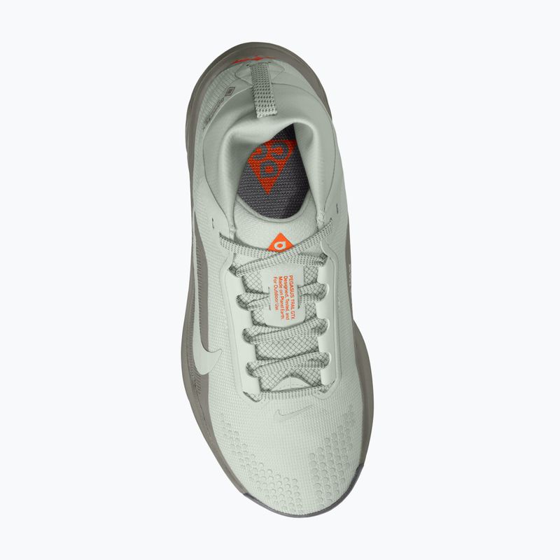 Női futócipők Nike ACG Pegasus Trail GORE-TEX Light Silver/Light Army/Light Silver 4