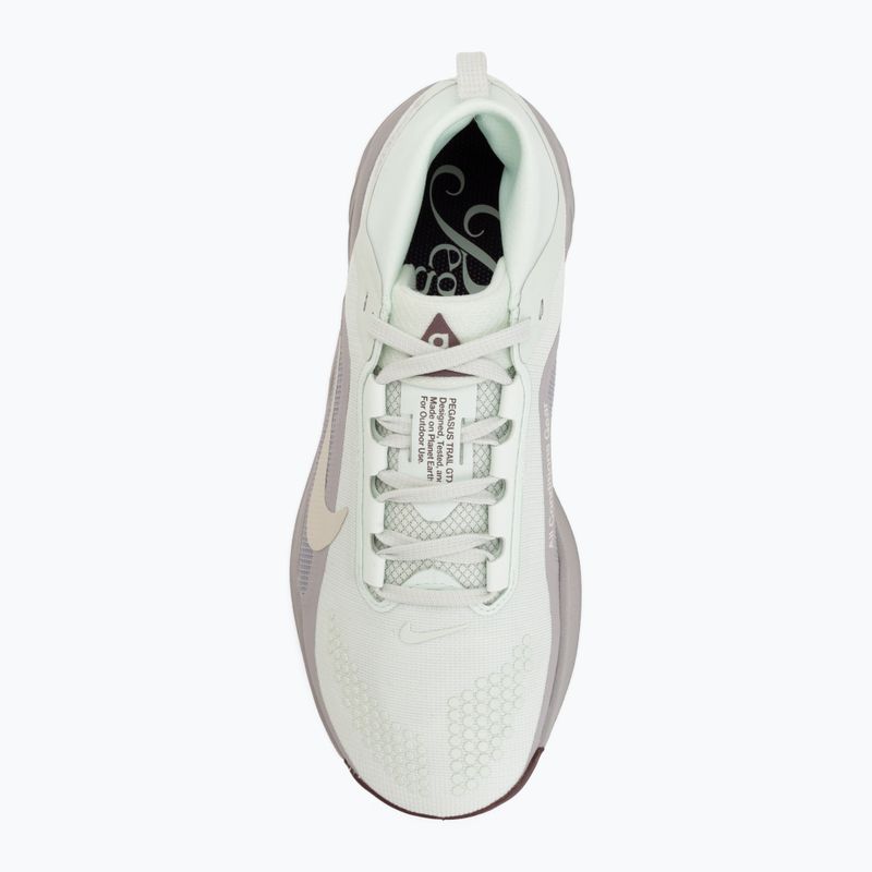 Női futócipők Nike ACG Pegasus Trail GORE-TEX Barely Green/Silver Lilac/Light Bone 5