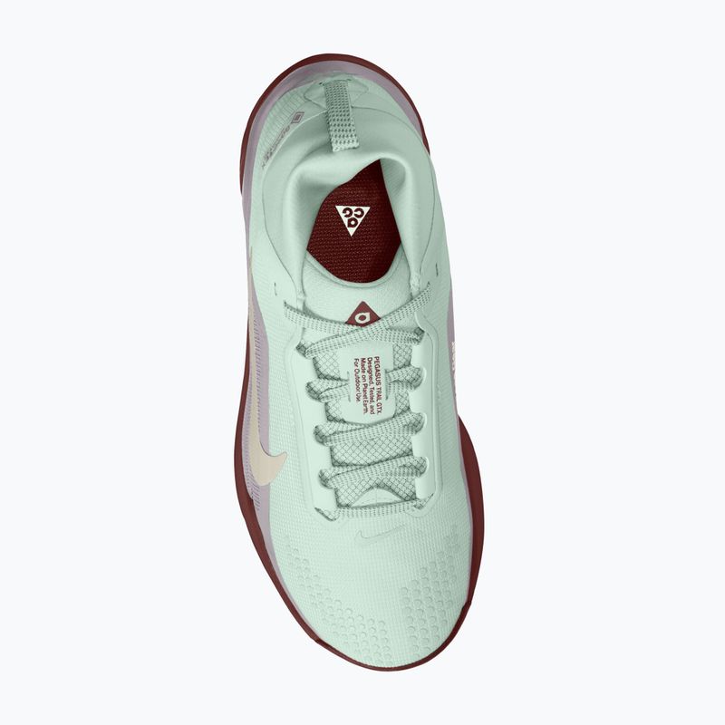 Női futócipők Nike ACG Pegasus Trail GORE-TEX Barely Green/Silver Lilac/Light Bone 4