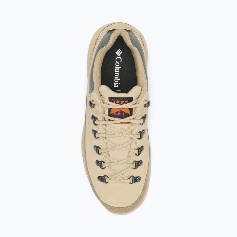 Férfi túracipők Columbia Newton Alpine Low fossil/sedona sage 4