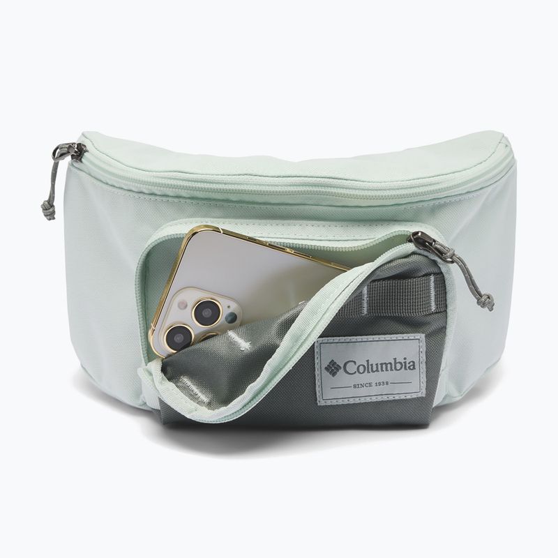 Övtáska Columbia Zigzag II Hip Pack 1 l sedona sage/tea light 4
