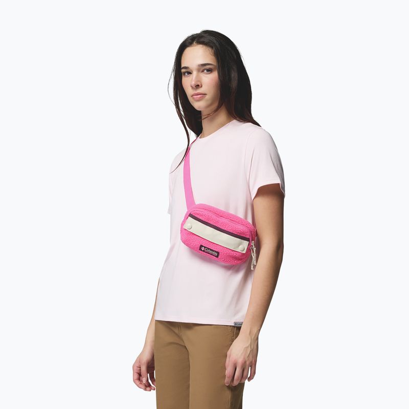 Övtáska Columbia Helvetia II Hip Pack 1 l nico/dark stone 5
