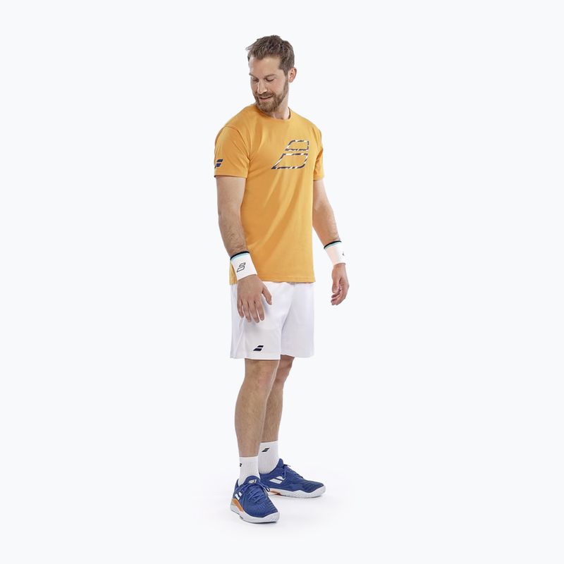 Férfi póló Babolat Exercise Big Flag autumn glory 2