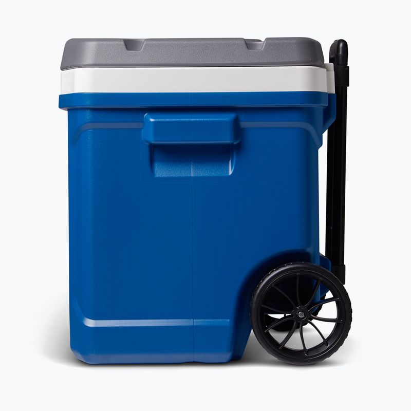 Hordozható hűtőszekrény Igloo Latitude 60 Qt 56 l indigo blue 3