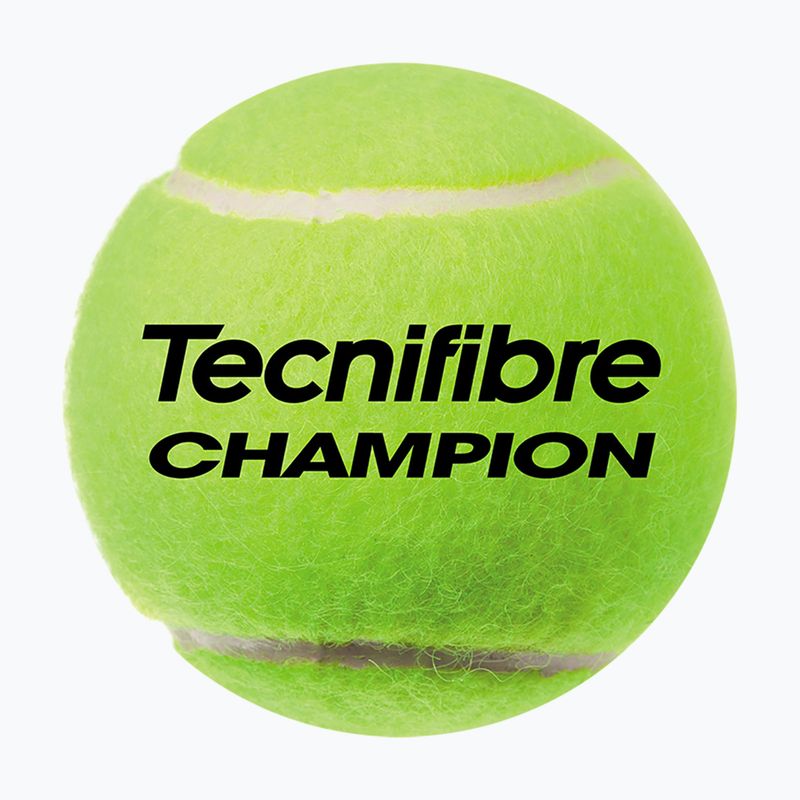 Tecnifibre Champion One teniszlabdák 4 db.