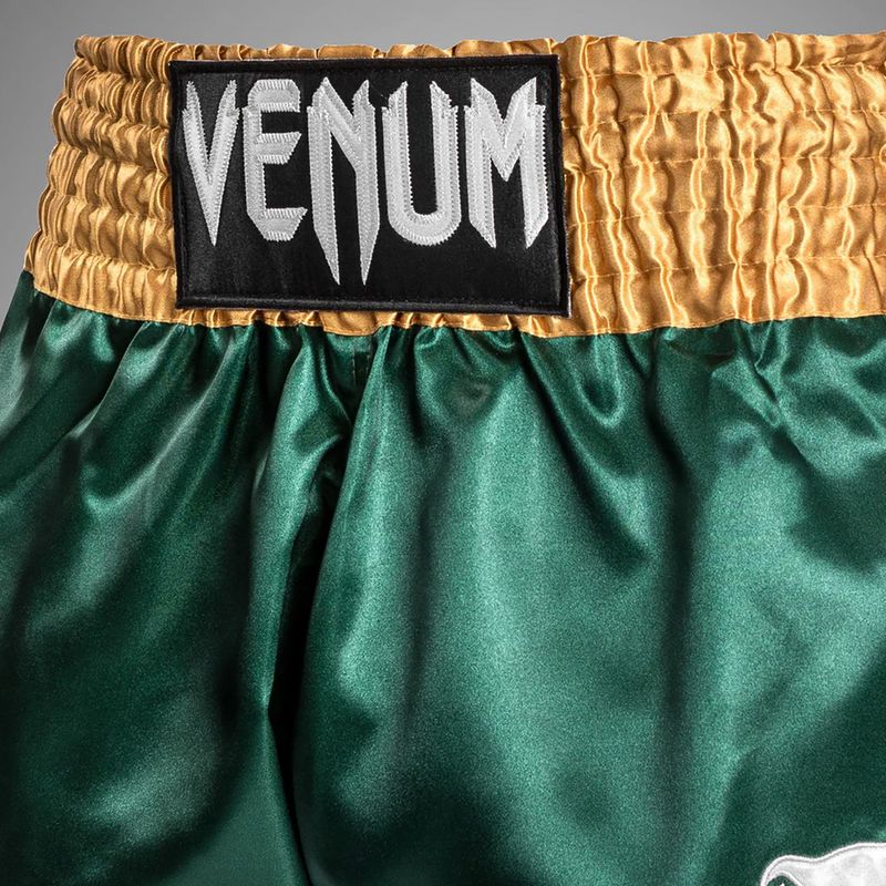 Férfi edzőshort Venum Classic Muay Thai zöld/arany/fehér 6