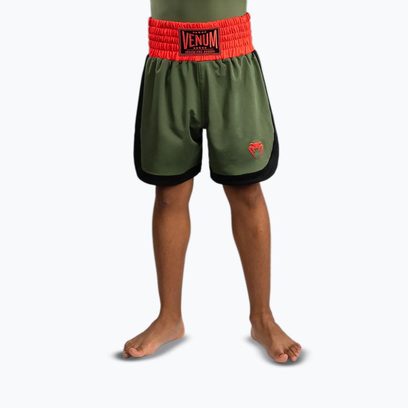 Gyerek edzőshort Venum Classic khaki