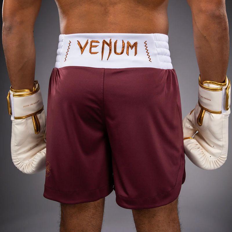 Férfi edzőshort Venum Classic Boxing burgundy 6