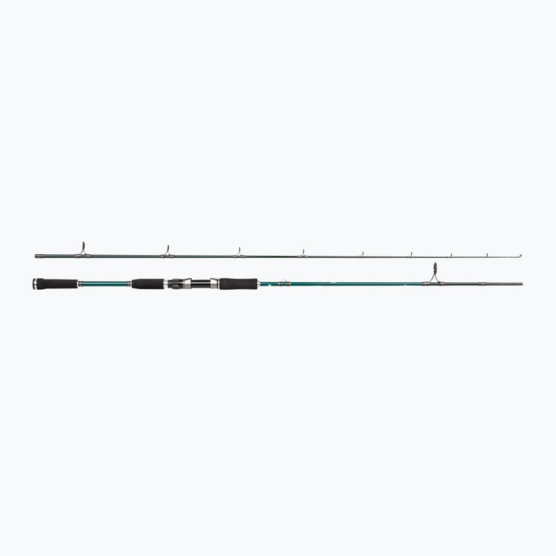 Abu Garcia Beast X Pike 842 H bot Abu Garcia Beast X Pike 842 H