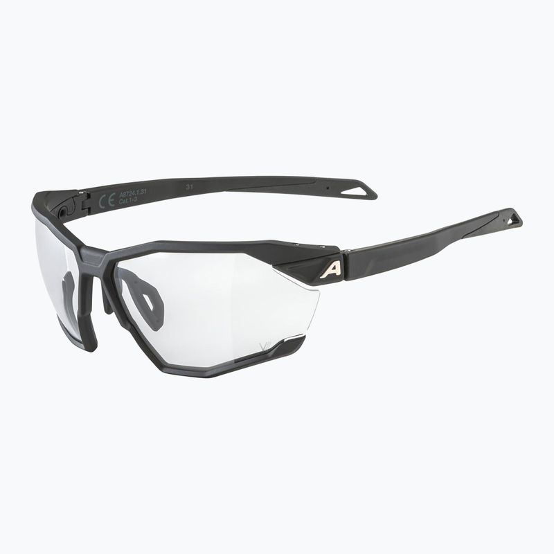 Napszemüveg Alpina Twist Six V black matt/black 5