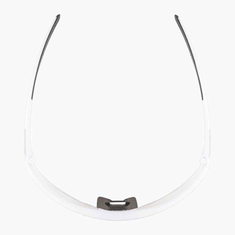 Alpina napszemüveg 6