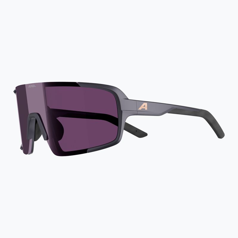 Napszemüveg Alpina Lumin gun/metallic matte/pink 4