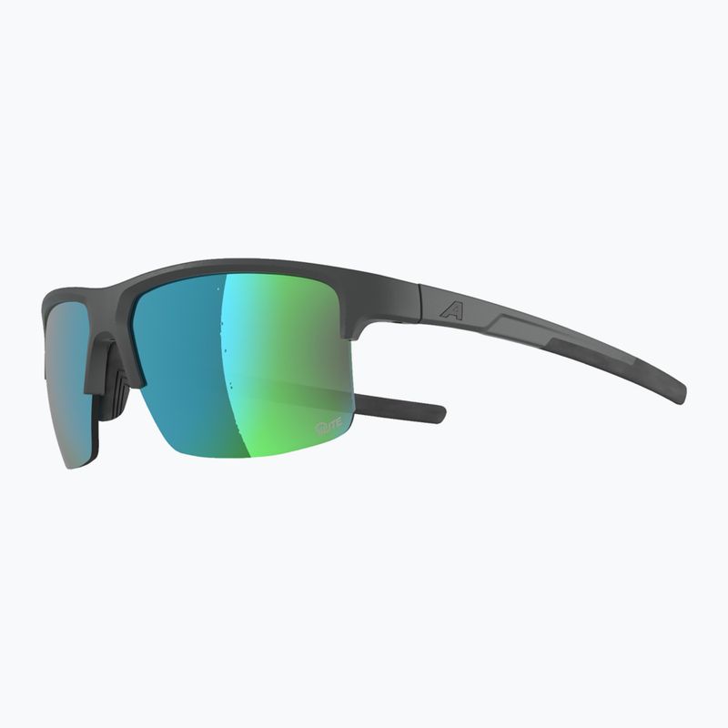 Napszemüveg Alpina Eagle Q-Lite midnight/grey matt/green 3