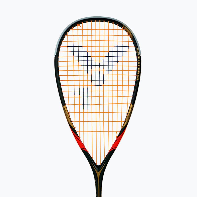 Squash ütő VICTOR IP RK 7