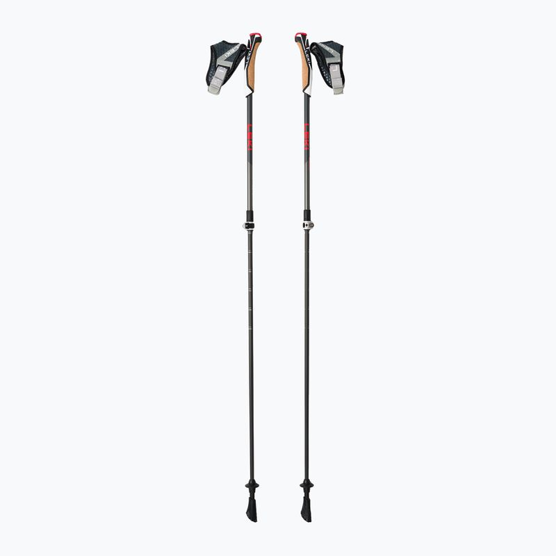 LEKI Instructor Lite nordic walking botok fekete és ezüst 65326341