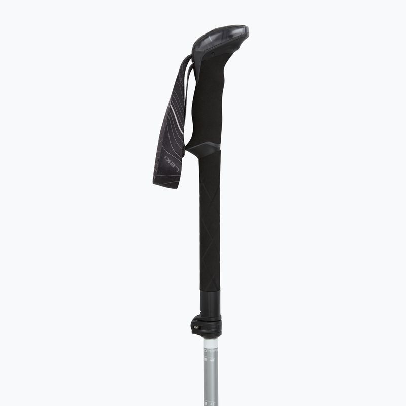 Trekkingbotok LEKI Makalu FX TA silver/greygreen/white 2