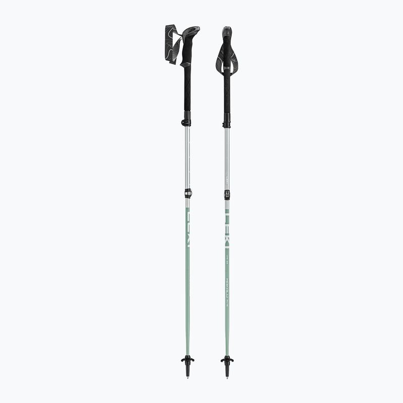 Trekkingbotok LEKI Makalu FX TA silver/greygreen/white