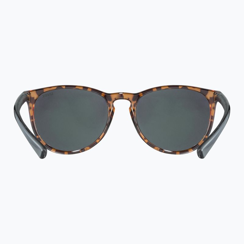 Napszemüveg UVEX Lgl 43 havanna black/mirror green 3