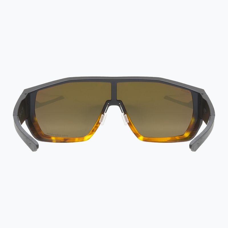 Napszemüveg UVEX Mtn Style CV havanna matt fade/mirror champagne 3