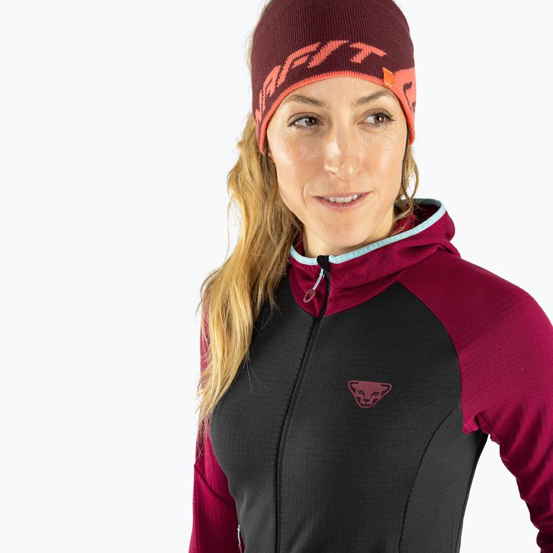 Fejpánt DYNAFIT Leopard Logo dawn/1730 2