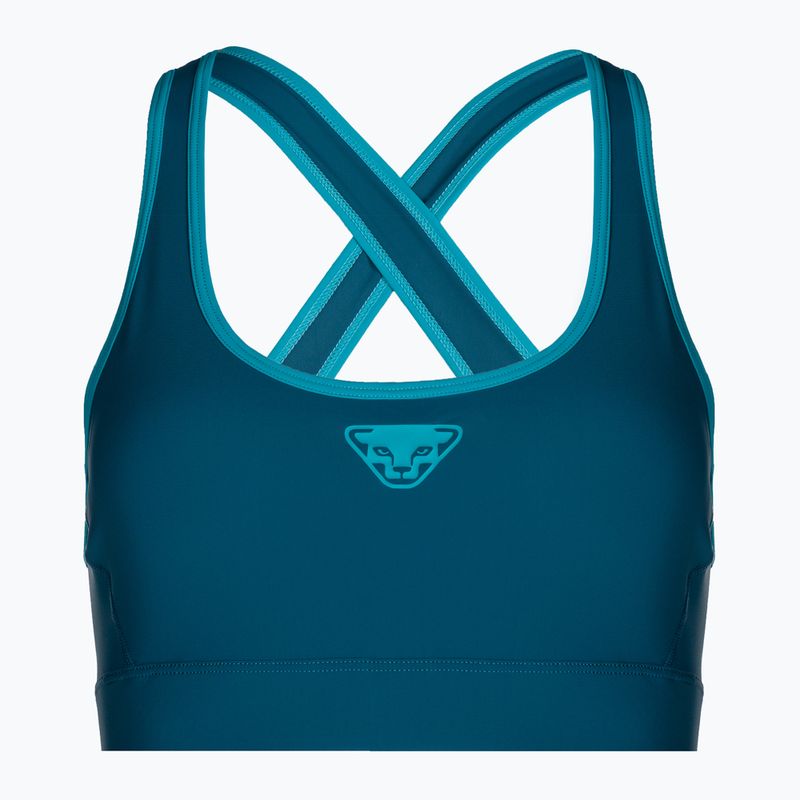 DYNAFIT Alpine kék futómelltartó 08-0000071478 3