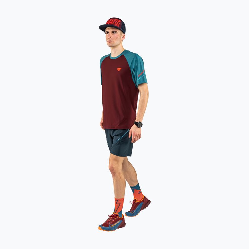 Férfi DYNAFIT Alpine Pro futópóló bordó 08-0000070964